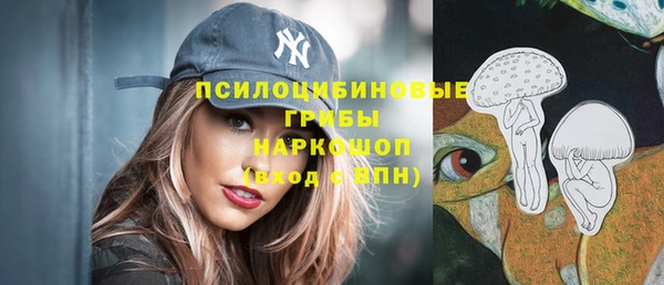 сатива Медвежьегорск