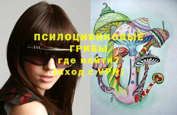 спиды Медногорск