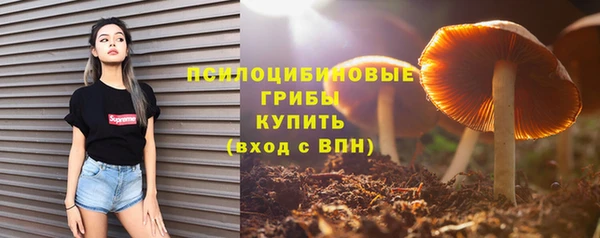 стаф Михайловка