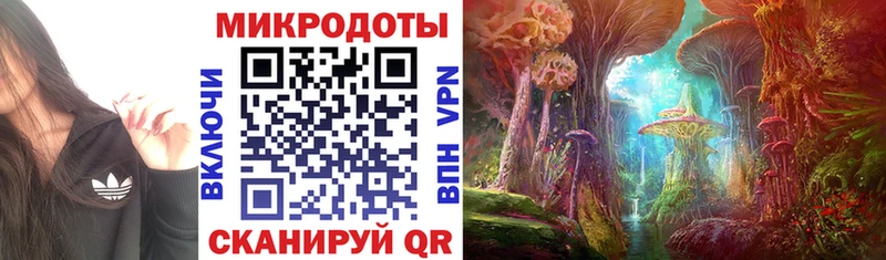 Галлюциногенные грибы Psilocybe  Шарья 