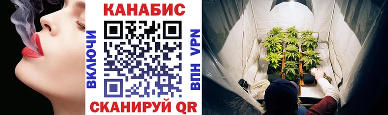 МАРИХУАНА сатива  купить наркотики цена  блэк спрут вход  Шарья 